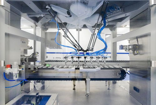 泰州企業(yè)單挑國際巨頭 生物化工產(chǎn)品技術(shù)研發(fā)的破局之路